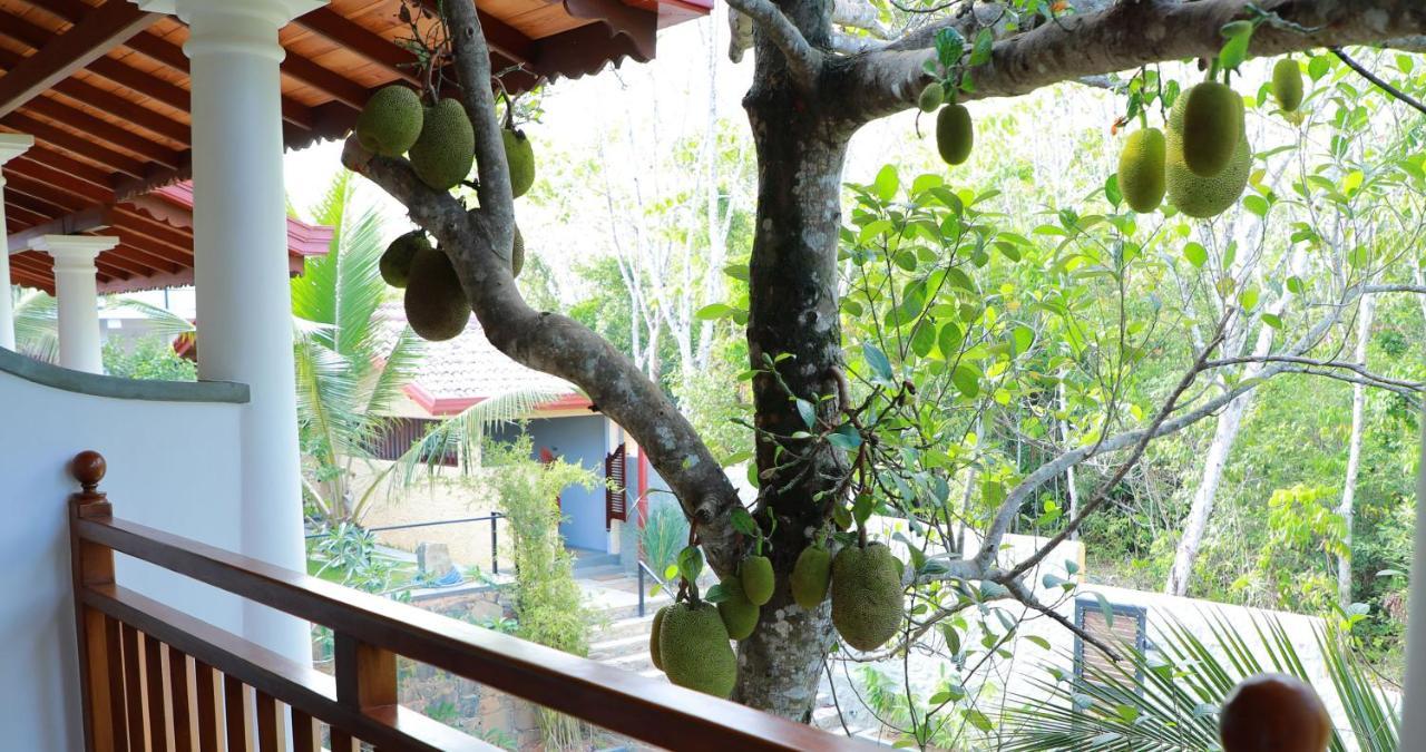 Terrace Garden Ayurveda Resort Weligama Εξωτερικό φωτογραφία