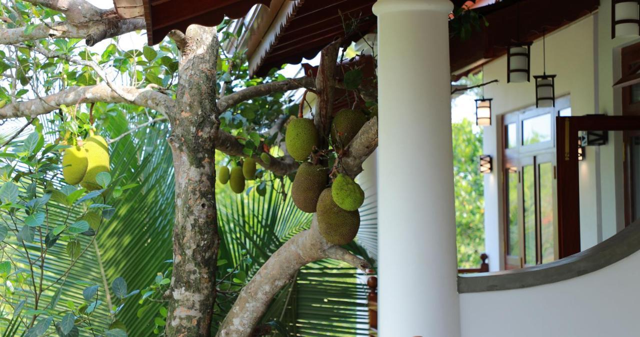 Terrace Garden Ayurveda Resort Weligama Εξωτερικό φωτογραφία