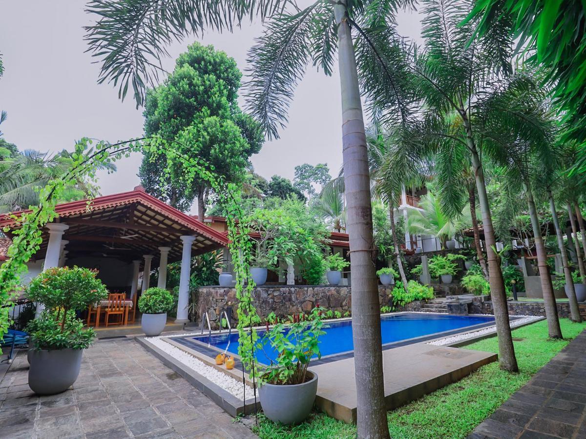 Terrace Garden Ayurveda Resort Weligama Εξωτερικό φωτογραφία