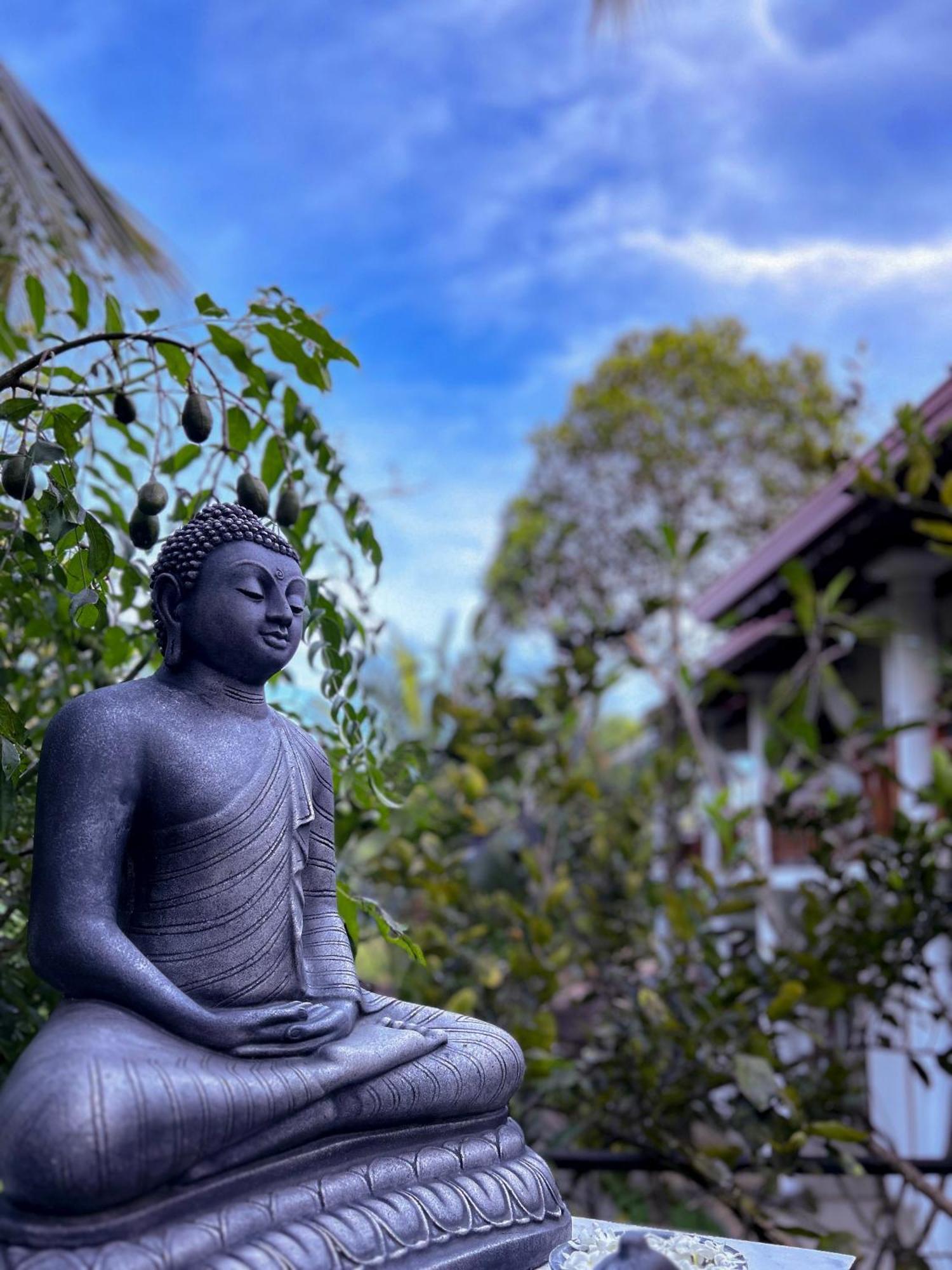 Terrace Garden Ayurveda Resort Weligama Εξωτερικό φωτογραφία