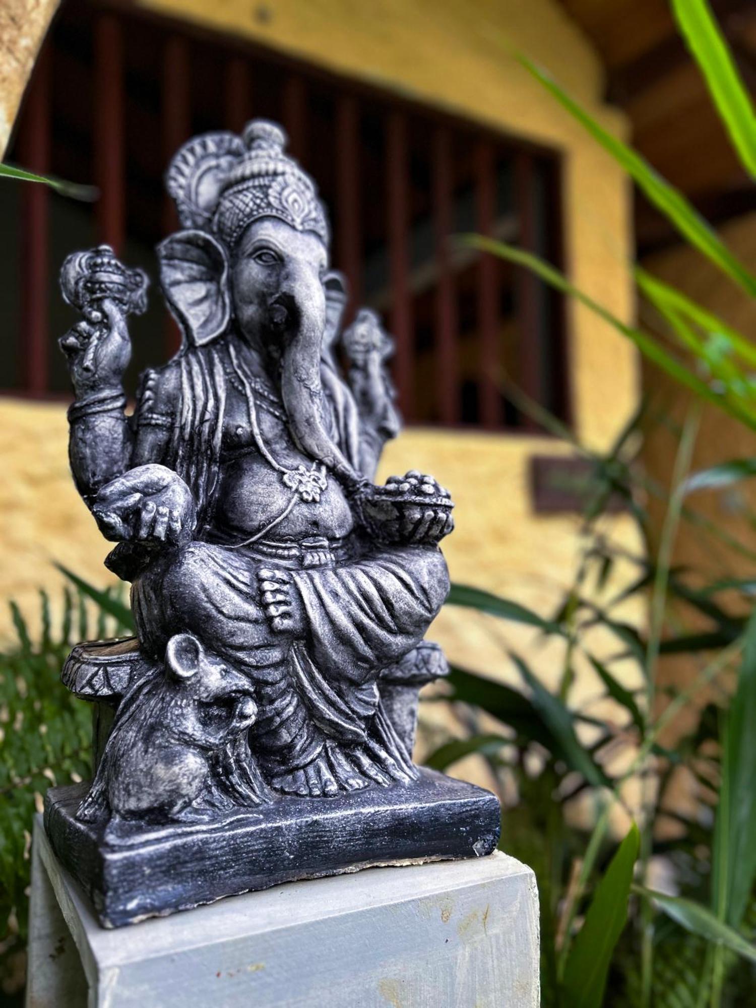 Terrace Garden Ayurveda Resort Weligama Εξωτερικό φωτογραφία