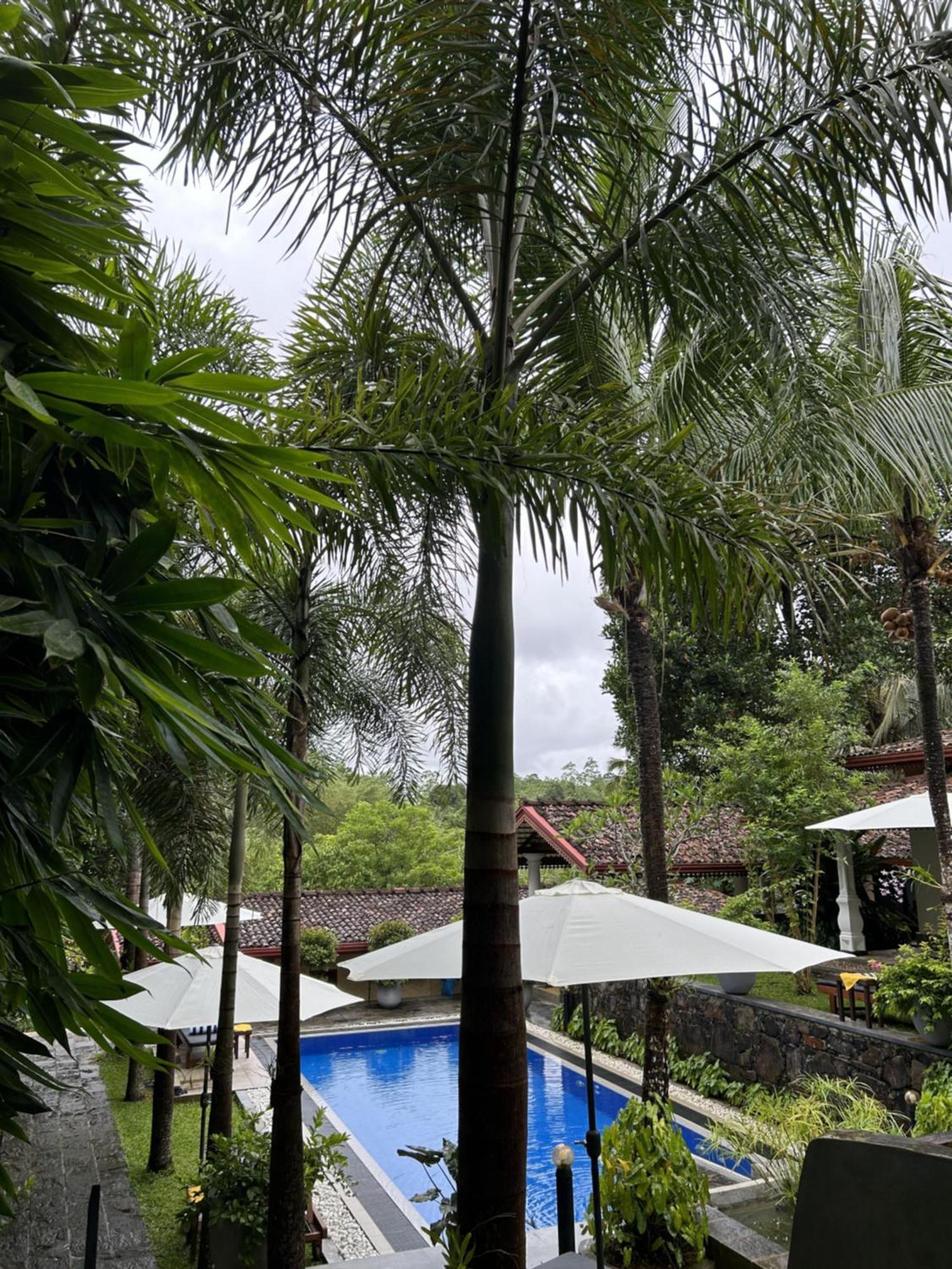 Terrace Garden Ayurveda Resort Weligama Εξωτερικό φωτογραφία